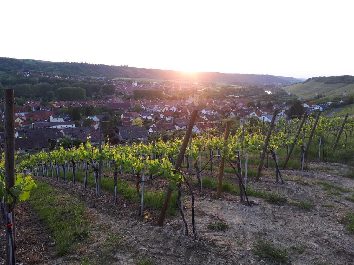 Hotel & Restaurant Sonnenhoefle Sommerhausen Zewnętrze zdjęcie